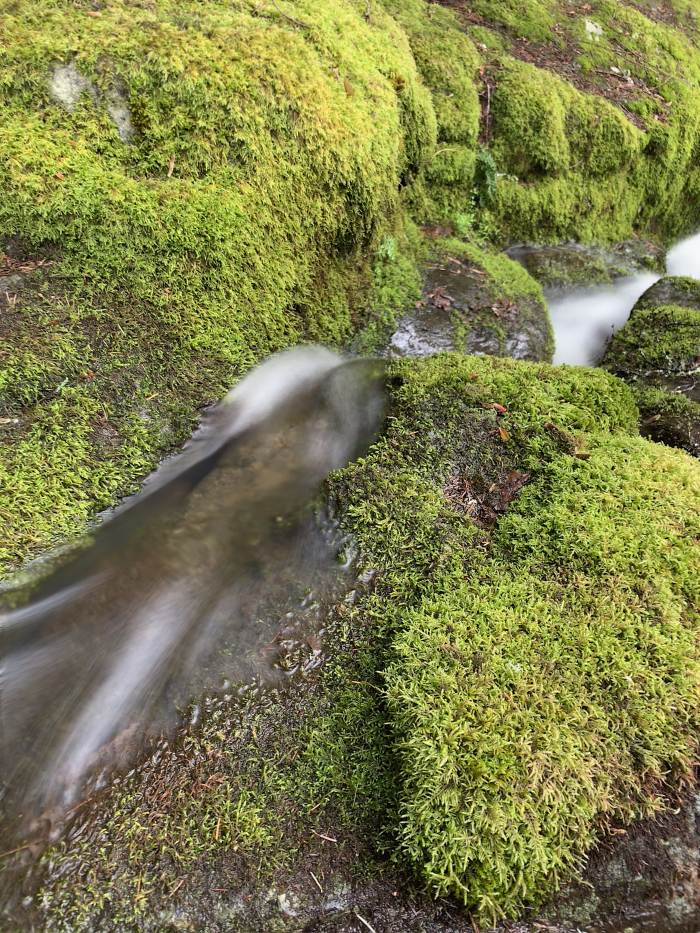 Lacamas Lake Regional Park