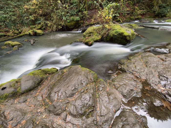 Lacamas Lake Regional Park
