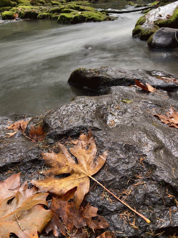 Lacamas Lake Regional Park