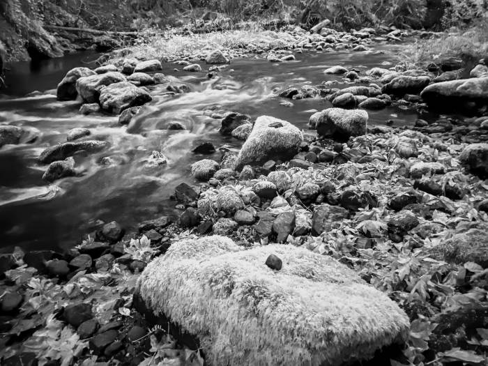 Lacamas Lake Regional Park Lacamas Lake Regional Park