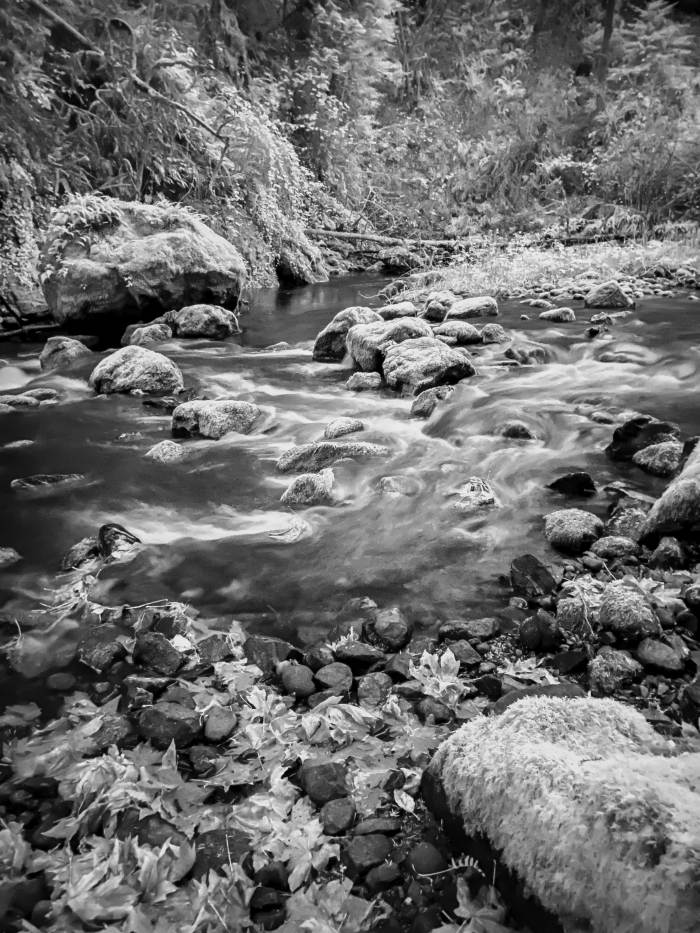 Lacamas Lake Regional Park