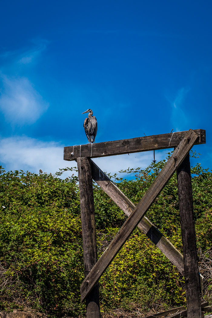 Scapoose Bay