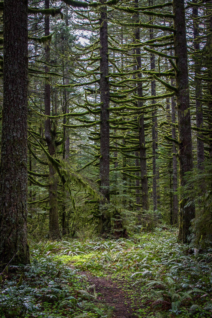 Columbia River Gorge Area
