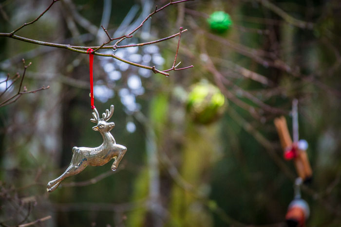 Larch Mountain trail and Christmas Trail Larch Mountain trail and Christmas Trail