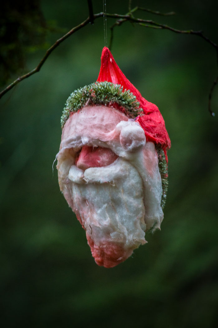 Larch Mountain trail and Christmas Trail