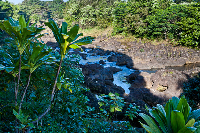 North Kohala, Hāmākua,Hāmākua, North Hilo Districts