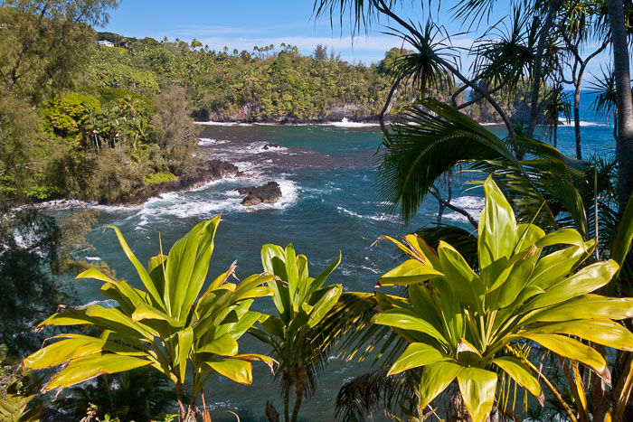 North Kohala, Hāmākua,Hāmākua, North Hilo Districts