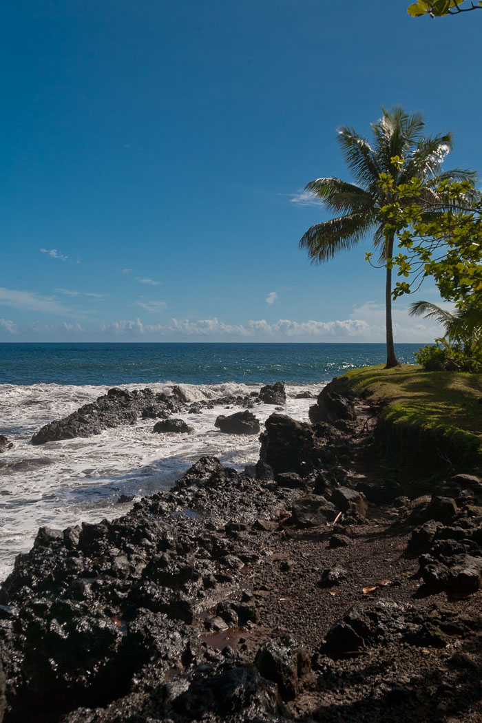 North Kohala, Hāmākua,Hāmākua, North Hilo Districts North Kohala, Hāmākua,Hāmākua, North Hilo Districts