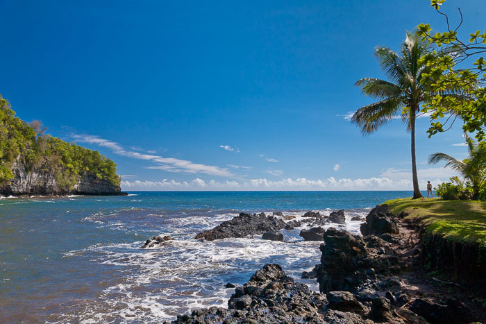 North Kohala, Hāmākua,Hāmākua, North Hilo Districts