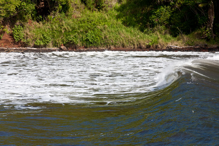 North Kohala, Hāmākua,Hāmākua, North Hilo Districts North Kohala, Hāmākua,Hāmākua, North Hilo Districts