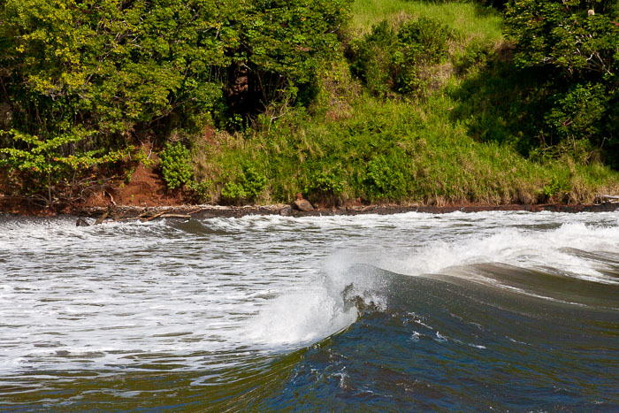 North Kohala, Hāmākua,Hāmākua, North Hilo Districts