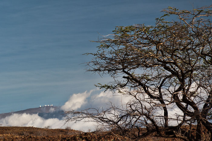 North Kohala, Hāmākua,Hāmākua, North Hilo Districts
