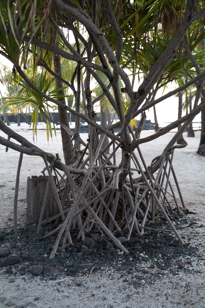 Puʻuhonua o Hōnaunau Puʻuhonua o Hōnaunau