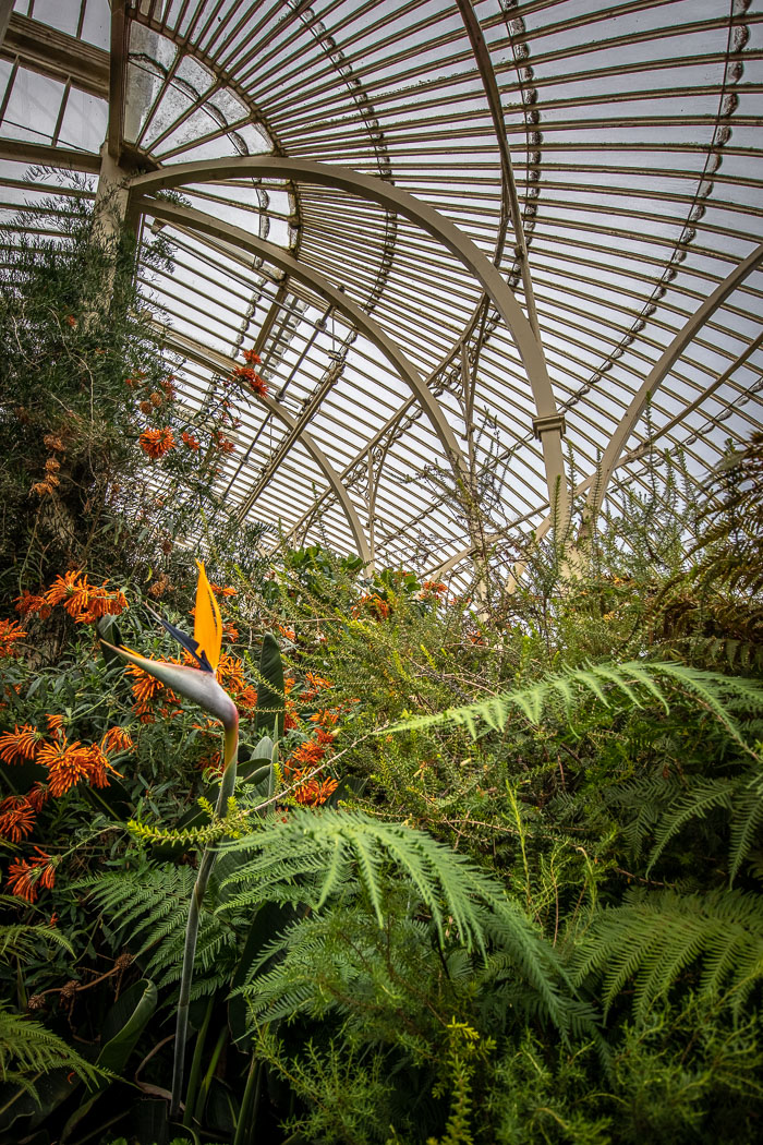 National Botanic Gardens National Botanic Gardens