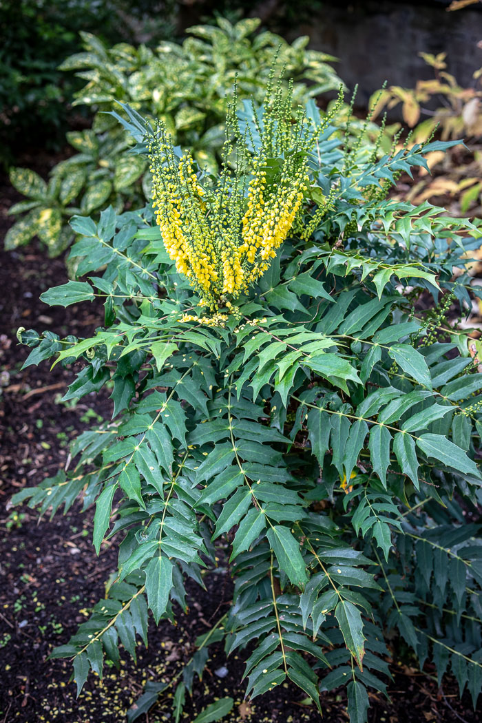 National Botanic Gardens National Botanic Gardens