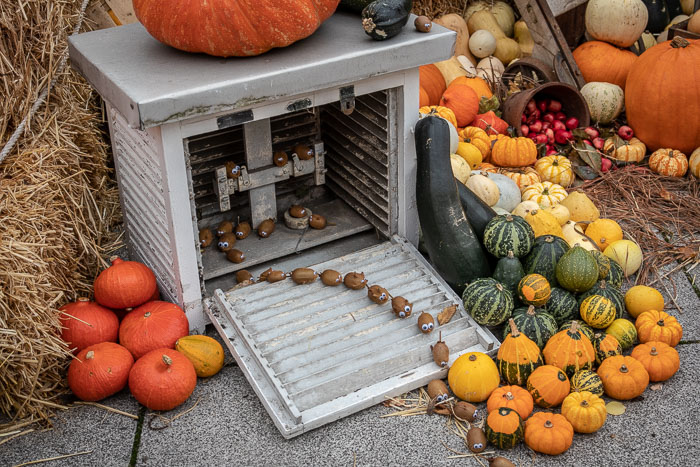 National Botanic Gardens