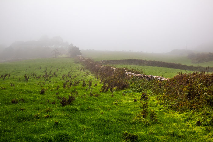 County Cork County Cork