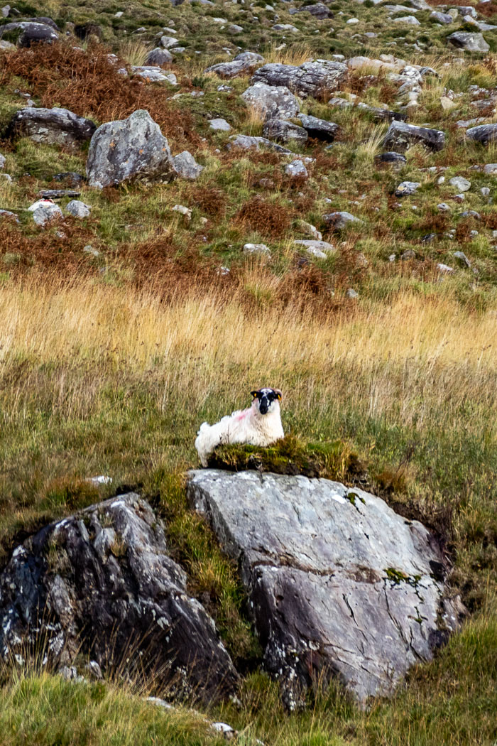 Gap of Dunloe