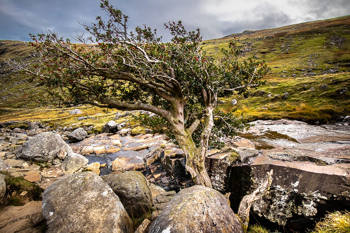 Glendalough Glendalough