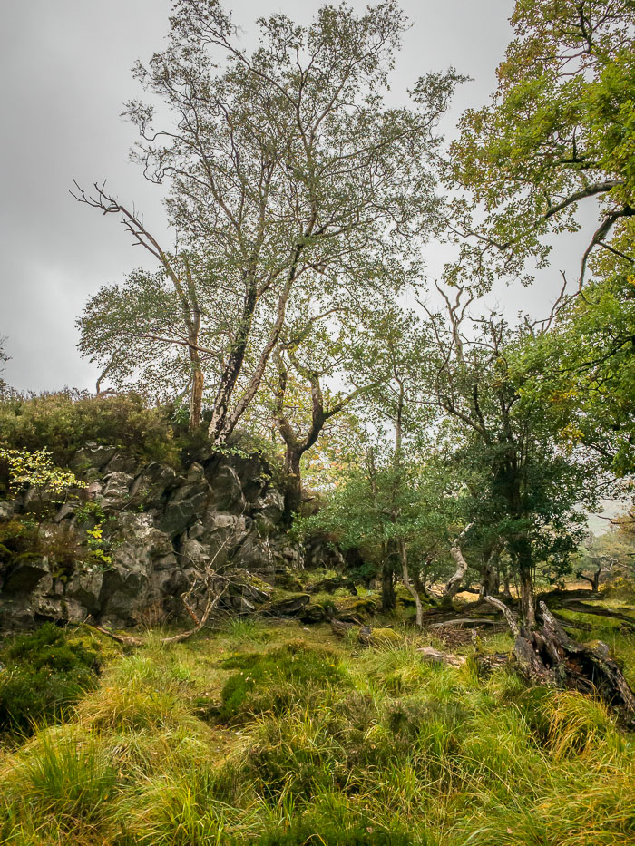 Killarney Lakes