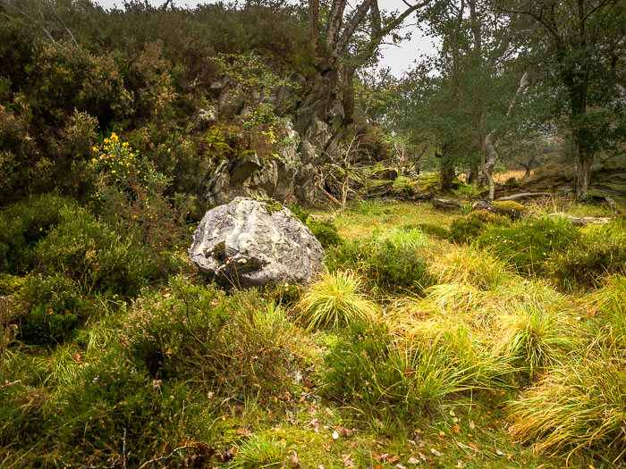 Killarney Lakes