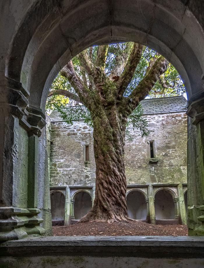 Muckross Peninsula Muckross Peninsula