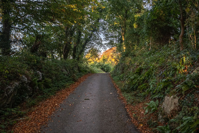 Muckross Peninsula