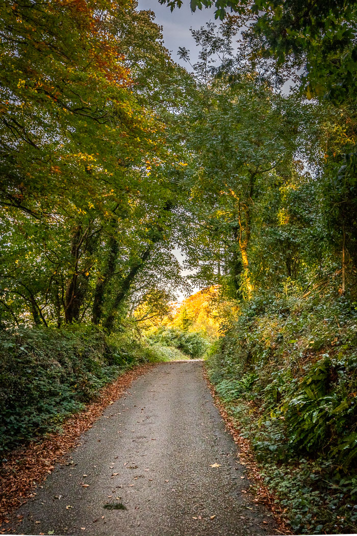 Muckross Peninsula