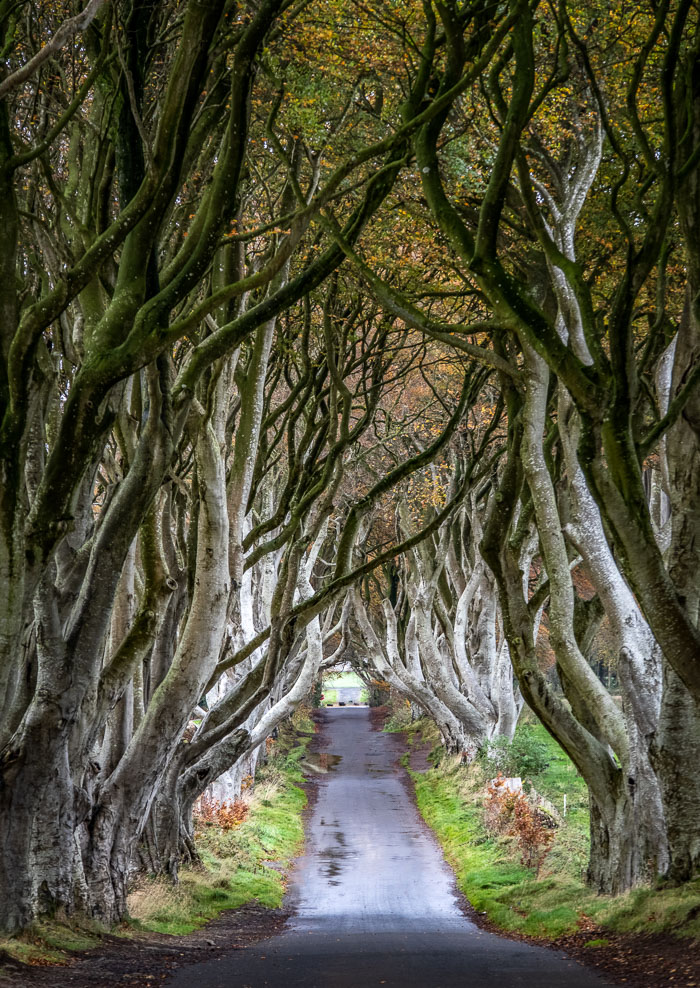 Northern Ireland