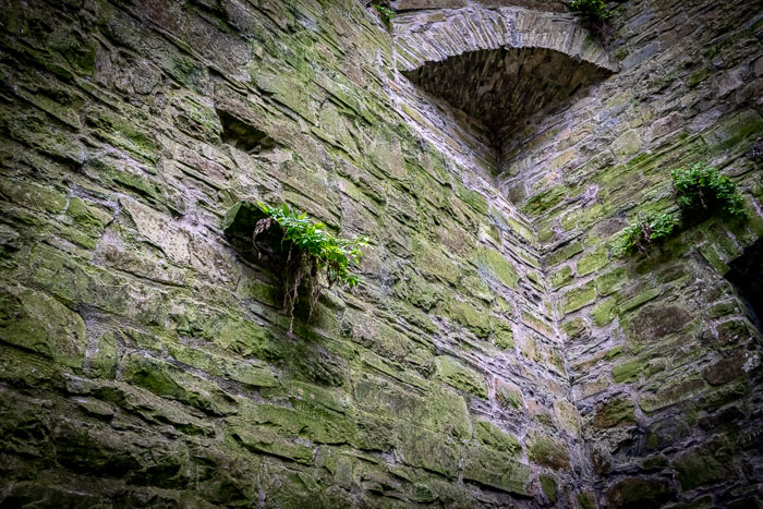 Trim and Trim Castle