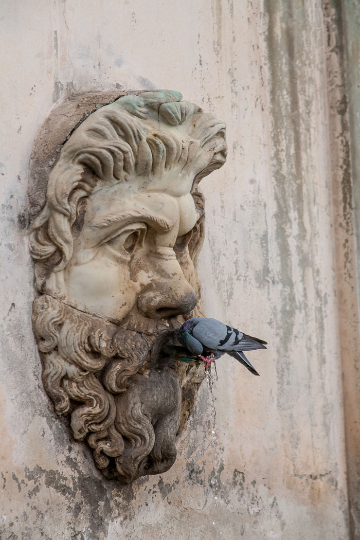 The Vatican Museums The Vatican Museums