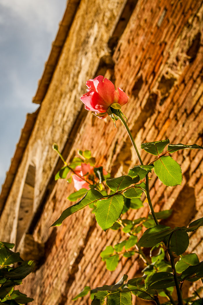 San Galgano Abbey and the hermitage of Montesiepi