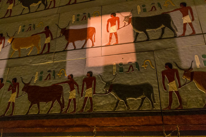 Chicago - Marco Navarro Memorial Photo tour Chicago - Marco Navarro Memorial Photo tour