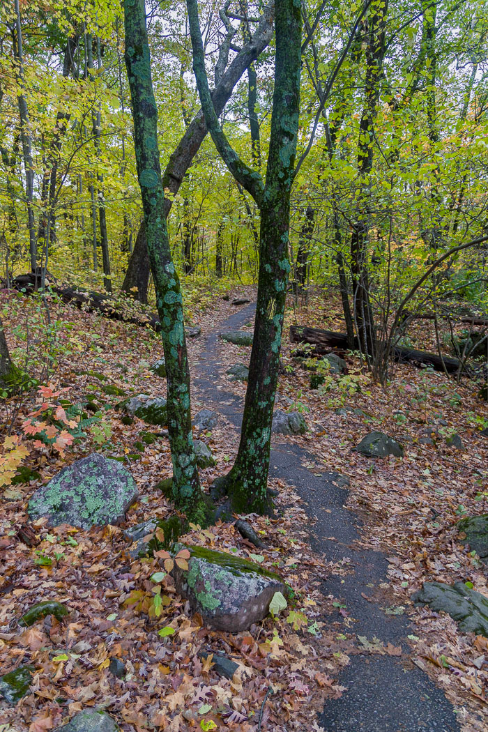 Devil's Lake State Park