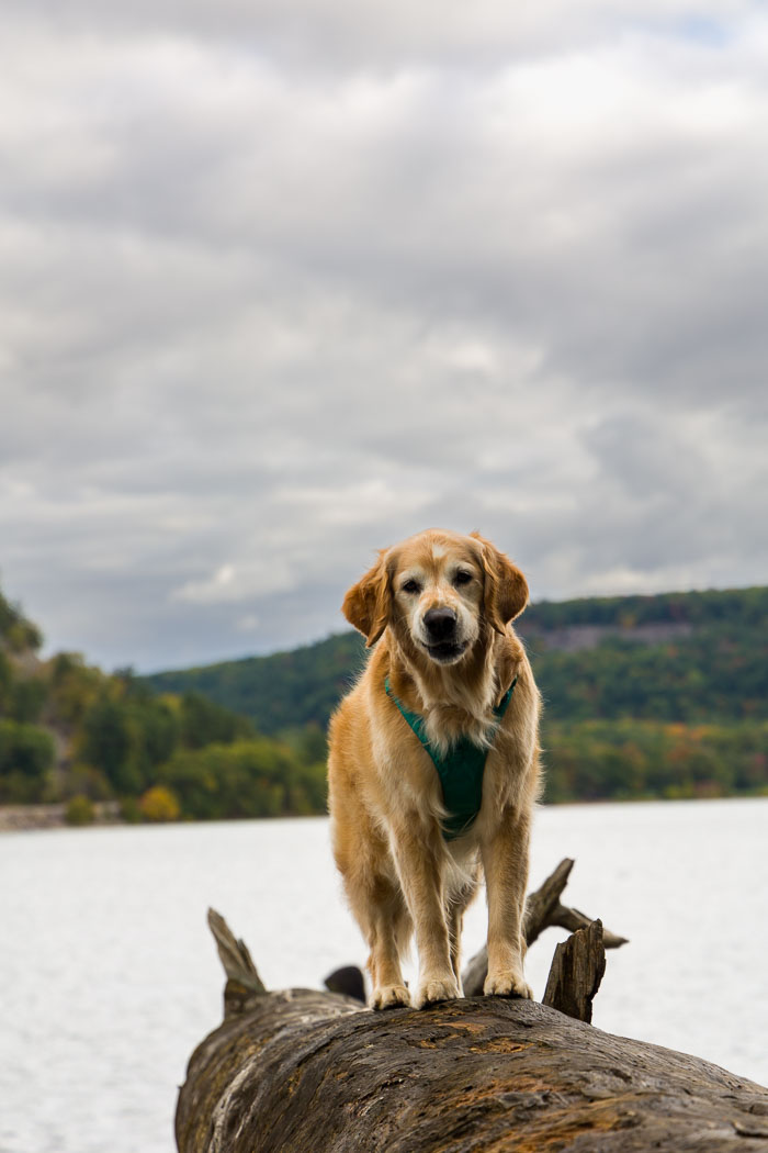 Devil's Lake State Park