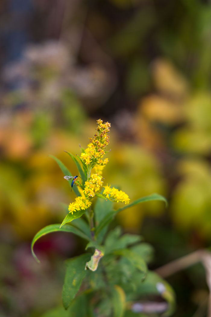 Scenes from Madison Scenes from Madison