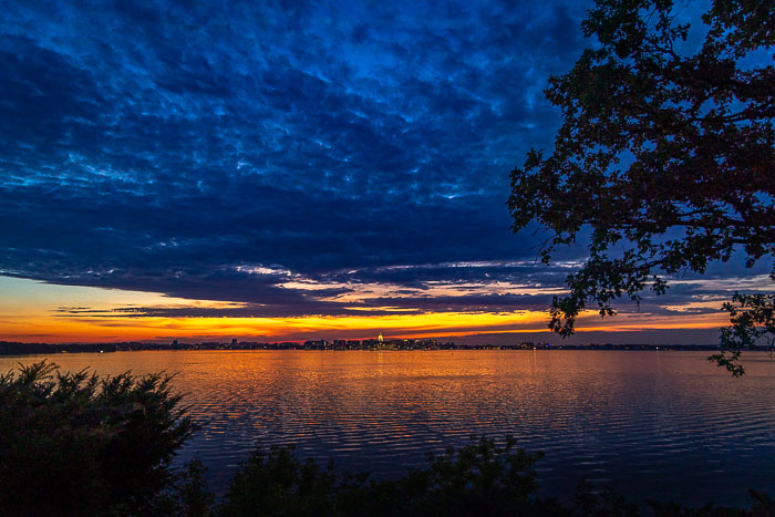 Scenes from Madison