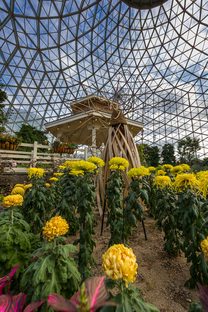 Mitchell Park Domes