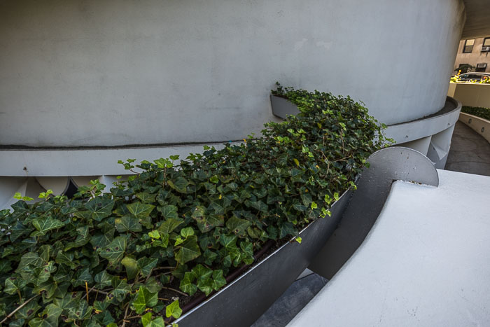 Guggenhiem Museum Guggenhiem Museum