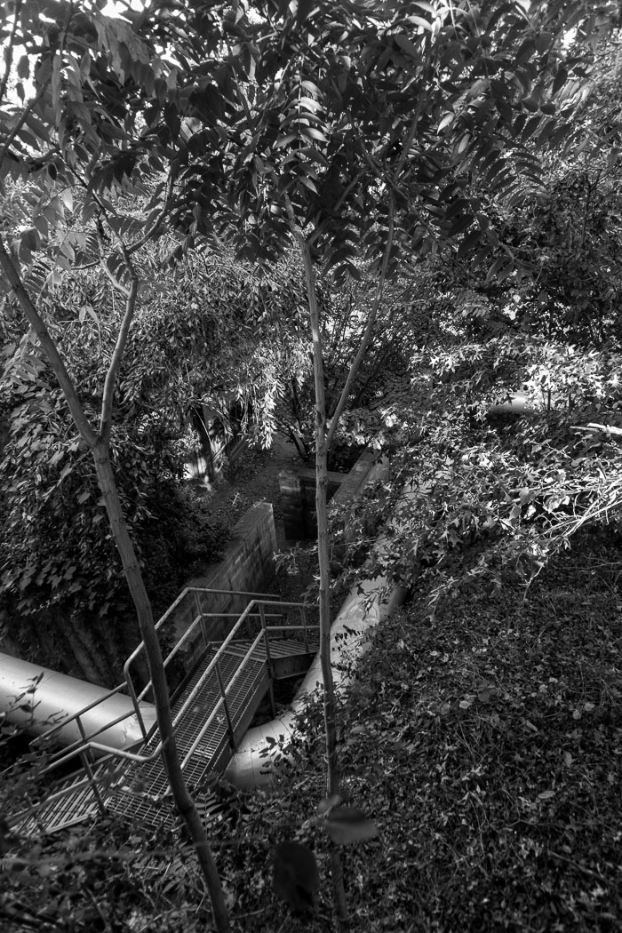 Monochromatic New York Monochromatic New York
