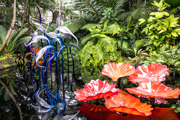 New York Botanical Gardens New York Botanical Gardens