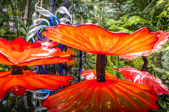 New York Botanical Gardens