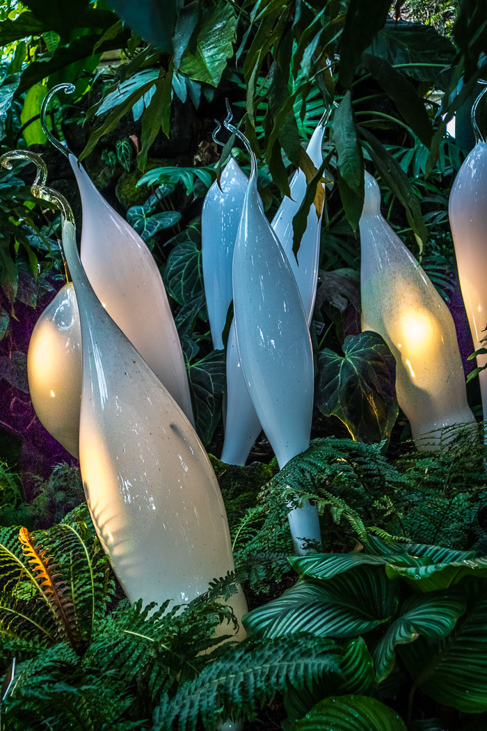 New York Botanical Gardens