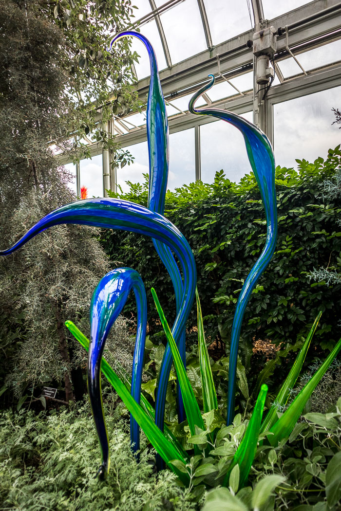 New York Botanical Gardens