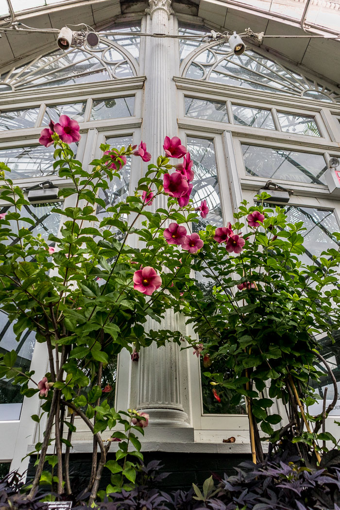 New York Botanical Gardens New York Botanical Gardens