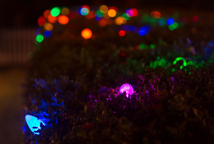 Holiday Lights Holiday Lights