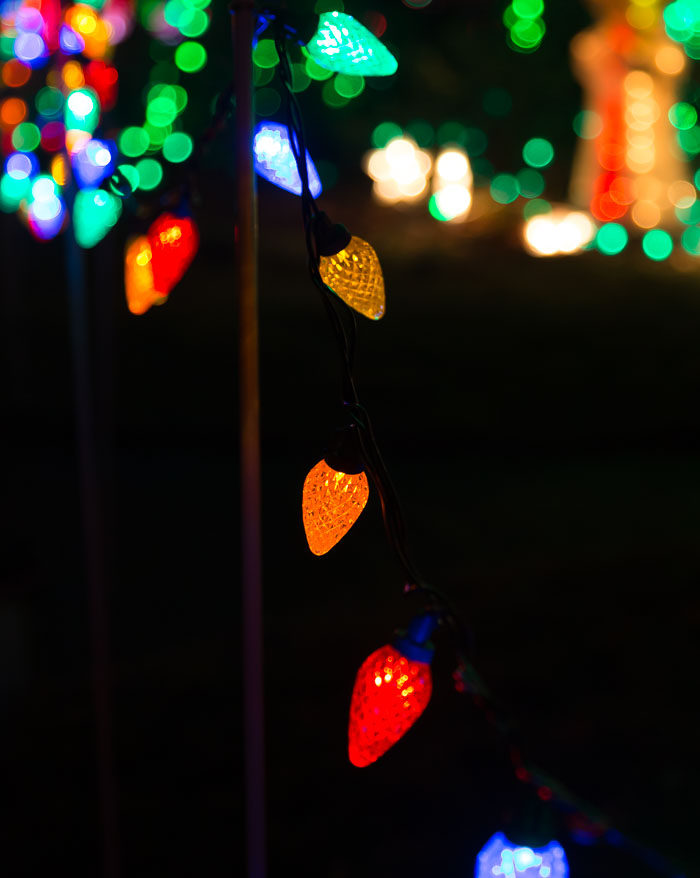 Holiday Lights