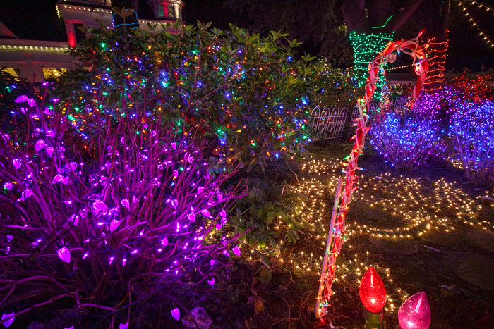 Holiday Lights