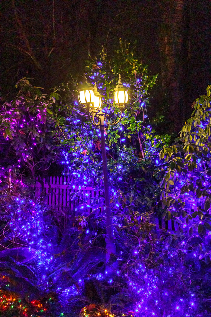 Holiday Lights Holiday Lights
