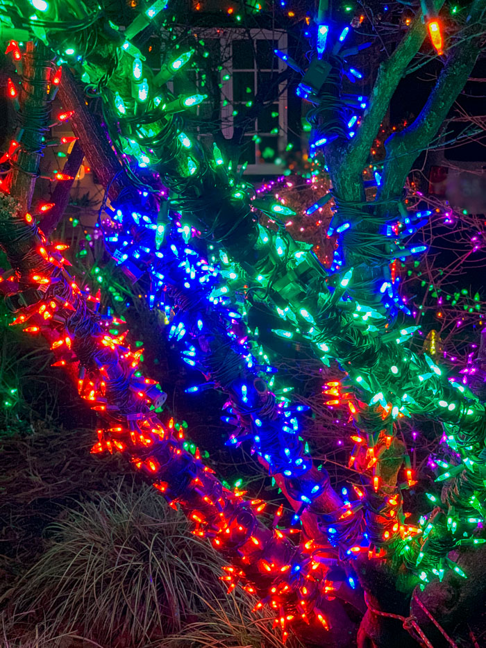 Holiday Lights